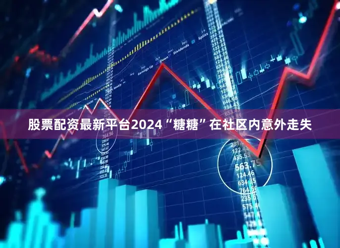 股票配资最新平台2024“糖糖”在社区内意外走失