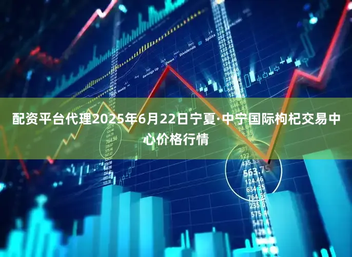 配资平台代理2025年6月22日宁夏·中宁国际枸杞交易中心价格行情